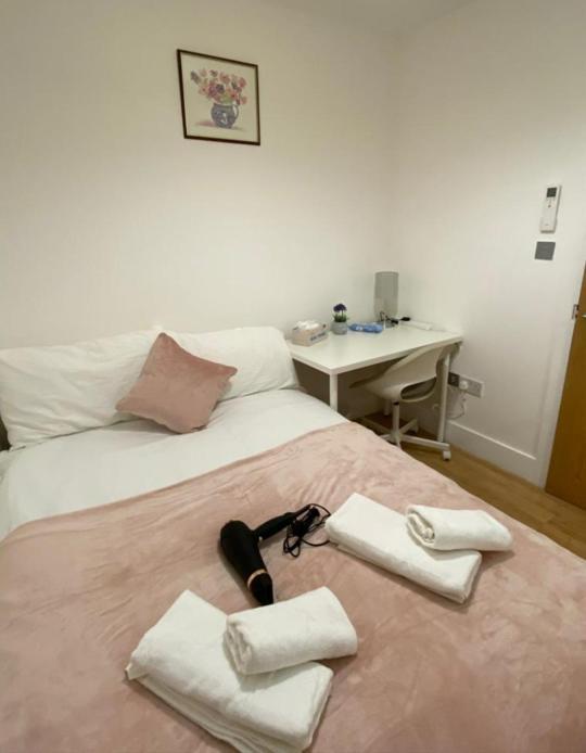 Private Rooms Near Euston Station, Central Londres Exterior foto